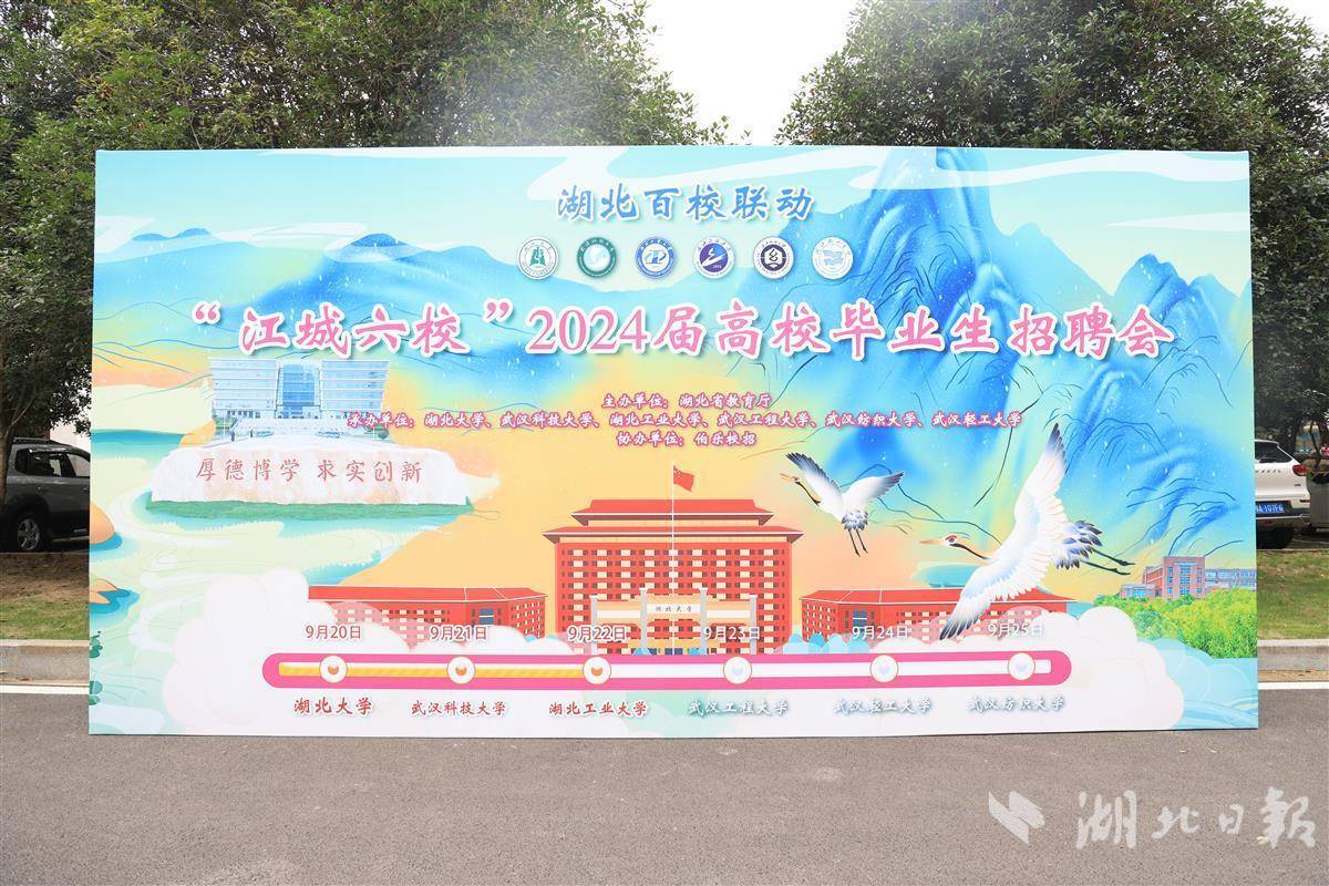 白菜大全自动送彩金